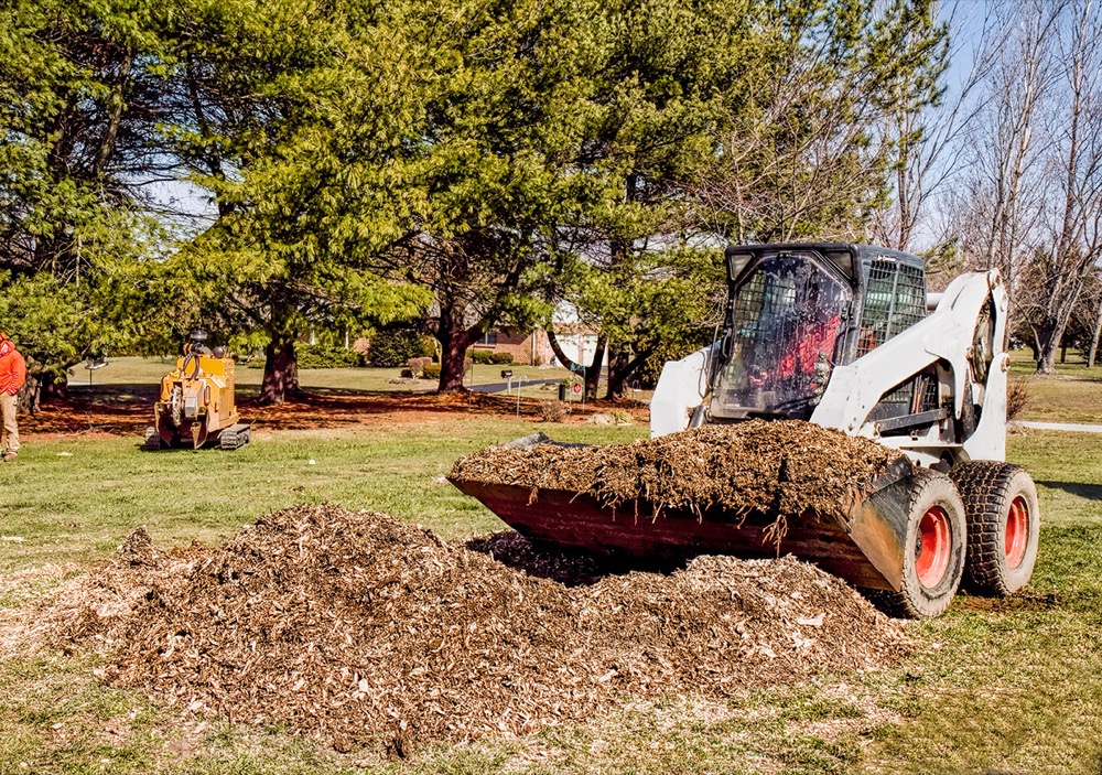 Debris Removal Solutions for Olympia, WA Neighborhoods