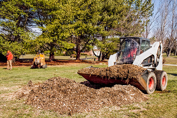 Debris Removal Olympia WA